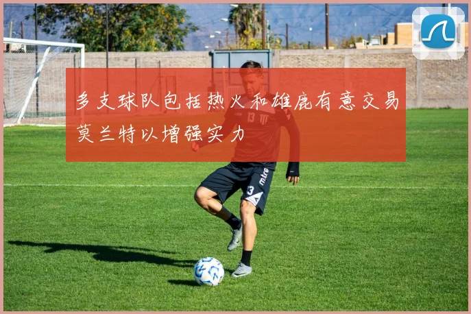 多支球队包括热火和雄鹿有意交易莫兰特以增强实力