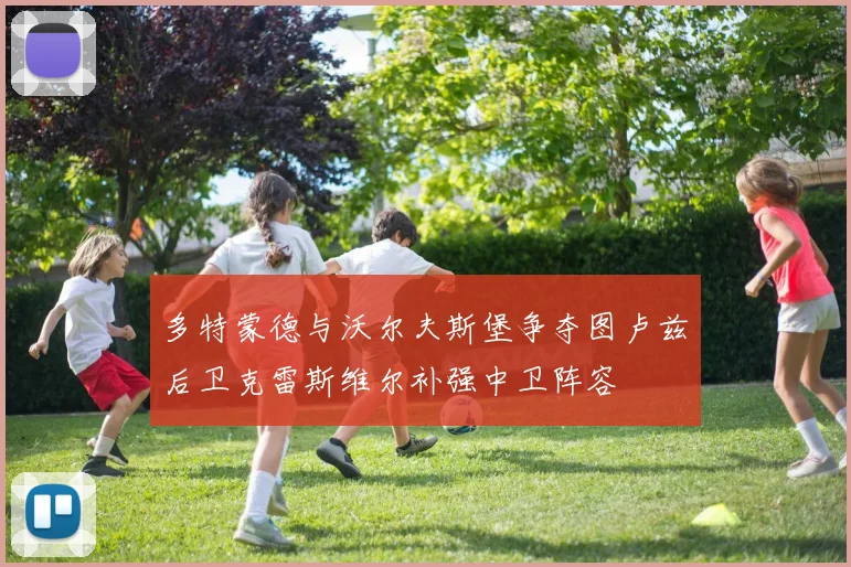 多特蒙德与沃尔夫斯堡争夺图卢兹后卫克雷斯维尔补强中卫阵容