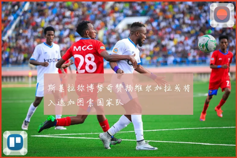 斯基拉称博努奇赞扬维尔加拉或将入选加图索国家队
