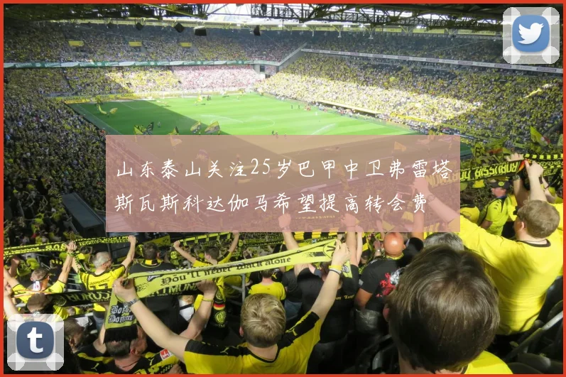 山东泰山关注25岁巴甲中卫弗雷塔斯瓦斯科达伽马希望提高转会费