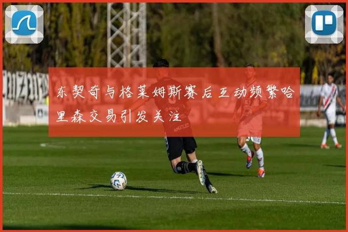 东契奇与格莱姆斯赛后互动频繁哈里森交易引发关注